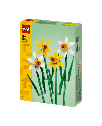 LEGO 40747 ŻONKILE