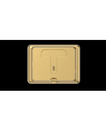 ezviz Bezprzewodowy dzwonek do drzwi z wizjerem DP2C (Golden)