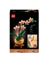 LEGO 10343 BOTANICALS Mała orchidea - nr 21