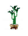 LEGO 10344 BOTANICALS Dracena sandera - nr 10
