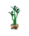 LEGO 10344 BOTANICALS Dracena sandera - nr 11