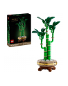 LEGO 10344 BOTANICALS Dracena sandera - nr 18