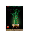 LEGO 10344 BOTANICALS Dracena sandera - nr 1
