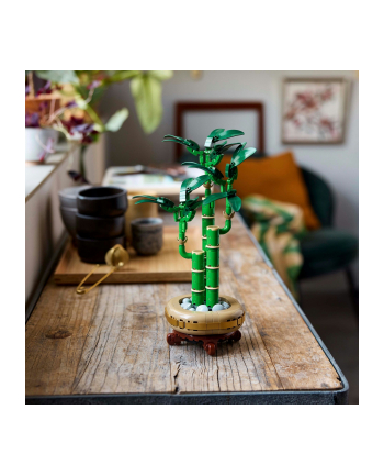 LEGO 10344 BOTANICALS Dracena sandera nr 2