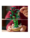 LEGO 10344 BOTANICALS Dracena sandera - nr 22