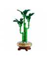 LEGO 10344 BOTANICALS Dracena sandera - nr 2