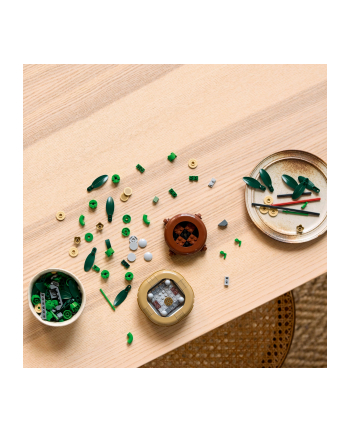LEGO 10344 BOTANICALS Dracena sandera nr 1