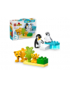 LEGO 10442 DUPLO TOWN Rodziny dzikich zwierząt: pingwiny i lwy - nr 1