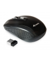 Equip 245104 Czarna (4015867208557) - nr 15