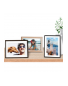 Papier HP 10x15 Glossy(25) Q8691A - nr 54
