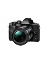 olympus Aparat OM-D E-M10 Mark IV + 14-150mm f/4-5.6II czarny - nr 1