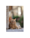 canon Obiektyw RF70-200MM F2.8L IS USM Z czarny 6593C005 - nr 15
