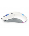 endorfy Mysz GEM Onyx White - nr 5