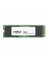 crucial Dysk SSD E100 480GB M.2 NVMe 2280 PCIe 4.0 4700/2500 MB/s - nr 23