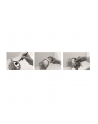 B+W Lens Cleaner Spray 50ml - nr 4
