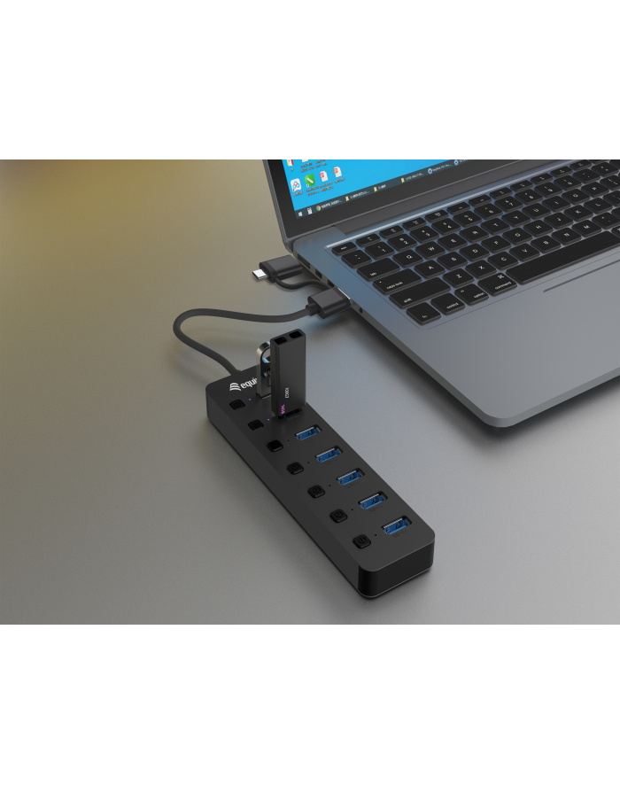 Equip HUB USB USB-Hub 7-Port 3.2 (128965) główny