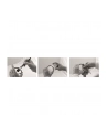 B+W Lens Cleaner Spray 50ml - nr 4