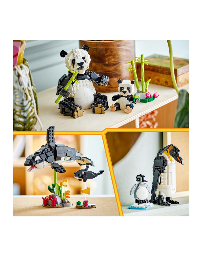 LEGO CREATOR 31165 główny