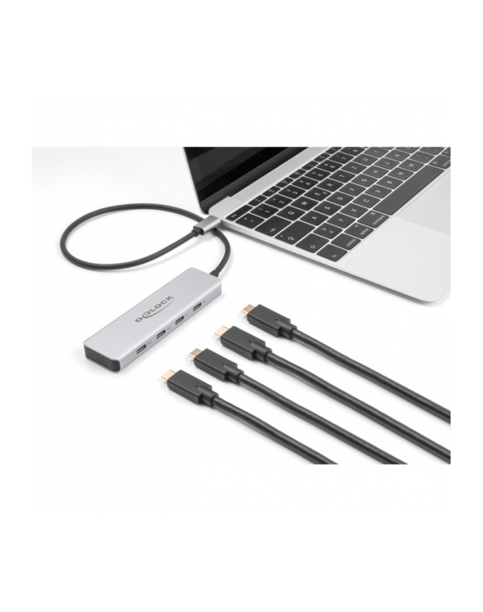 DeLOCK USB 10 Gbps USB Type-C Hub with 4 x USB Type-C socket, USB hub (grey) główny