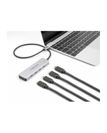 DeLOCK USB 10 Gbps USB Type-C Hub with 4 x USB Type-C socket, USB hub (grey)