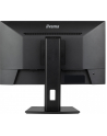 iiyama Monitor 24 cale XUB2493HSU-B7,IPS.HDMI.DP.2x2W.USBx2,300cd - nr 60