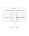 iiyama Monitor 27 '' XUB2797QSN-W2 IPS,QHD,USB-c Dock,HDMI,DP,PD-65W,2x2W, 4xUSB(3.2),300cd/m2,80M:1,sRGB:99%/5y/ - nr 30