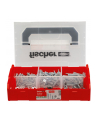 fischer FixTainer SX Plus dowel and screw box (light grey, 212 pieces, with screws and hooks) - nr 3