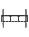 ag neovo Monitor interaktywny 75 '' IFP7504P IPS 4K AI UHD AND13 - nr 16