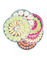 gorenje dehydrator FDK24DW (BIAŁY, 380 watts, drying surface 31cm per level) - nr 16