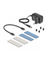 DeLOCK External USB 20 Gbps Enclosure for 2 x M.2 NVMe PCIe SSD, Drive Enclosure (Gray, Bootable, Plug ' Play) - nr 5