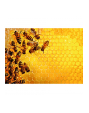 Ravensburger Puzzle Challenge Bees (1000 pieces) - nr 7