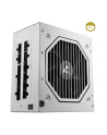 Sharkoon Rebel P20 750 White, PC power supply (BIAŁY, 1x 12 pin high power connector, 4x PCIe, cable management, 750 watts) - nr 1