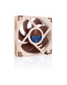 Noctua NF-A6x15 5V (60 mm) - nr 3