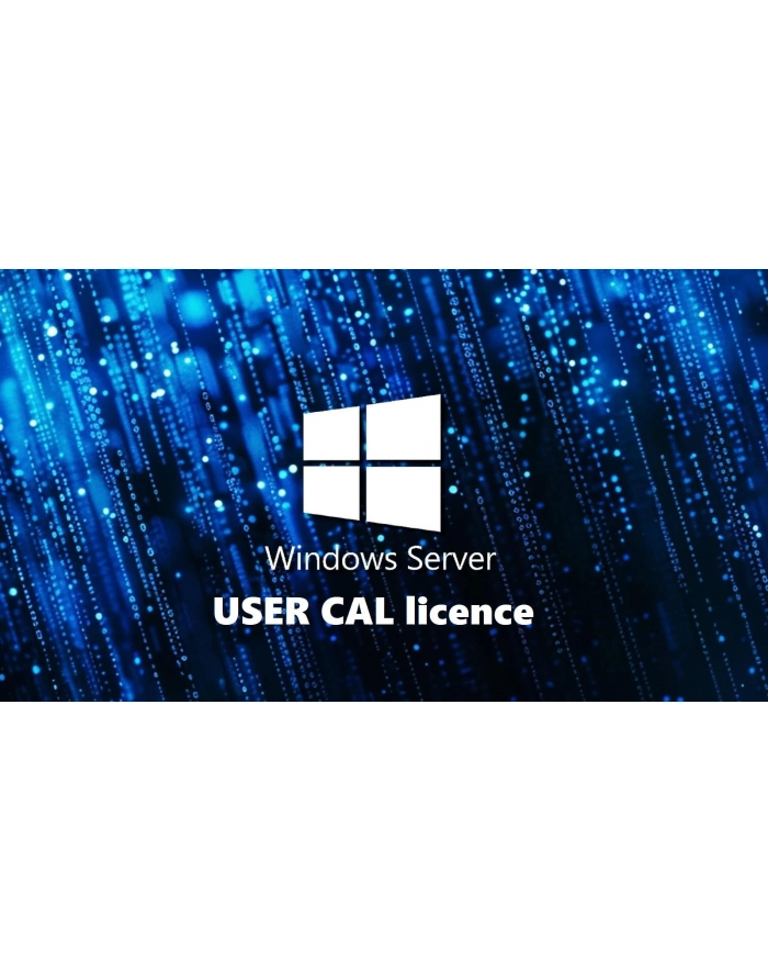 fujitsu technology solutions FUJITSU WINSVR CAL 2025 1User główny