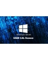 fujitsu technology solutions FUJITSU WINSVR CAL 2025 5User - nr 1