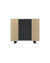 Epson mobiler A/V-Schrank ELPCS01 - nr 25