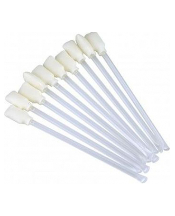 Evolis – Zestaw 25 Sztyftów Czyszczących A5003