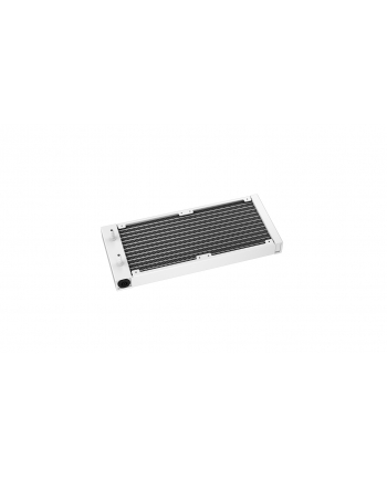 Deepcool LT240 12 cm Biały 1 szt. (RLT240WHAMNCG1)