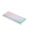 savio Klawiatura mechaniczna bezprzewodowa PHENIX WHITE Gateron Red Pro, ABS - nr 4