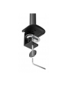 neomounts Ramię do monitora DS60-600BL2 - nr 65
