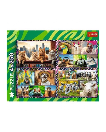 Puzzle 4x250el Zabwne zwierzaki 13313 Trefl