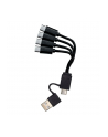 1x4 Coast Zithion-X Mignon AA Aku. USB-C Port - nr 3