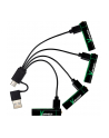 1x4 Coast Zithion-X Micro AAA Akku USB-C Port - nr 2
