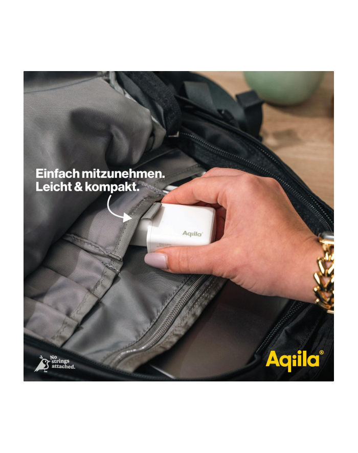 Aqiila Chargebird W2 45W 2x USB-C główny