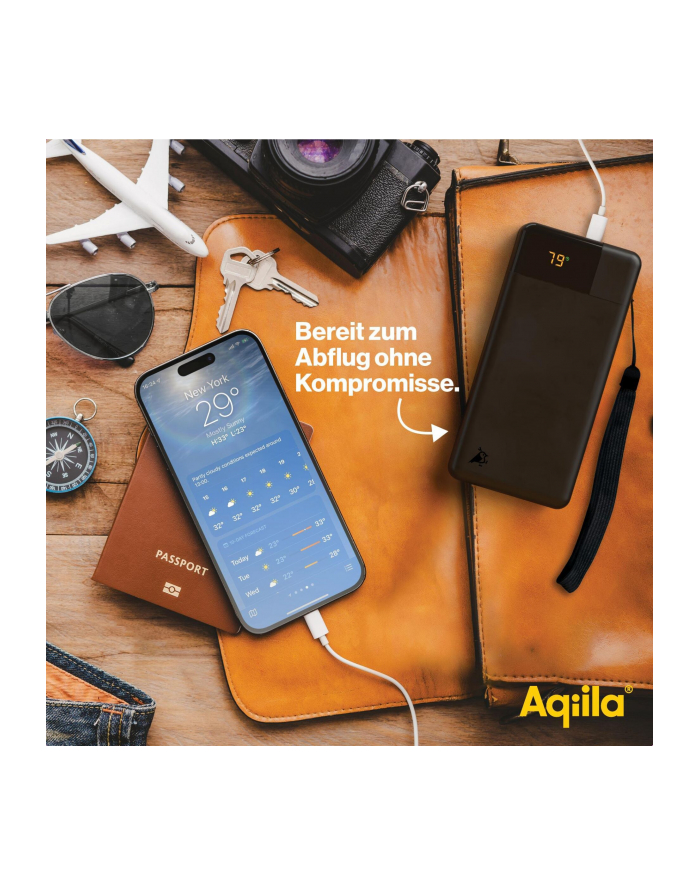 Aqiila Powerbird B20 Powerbank 20W czarny 20.000 mAh główny