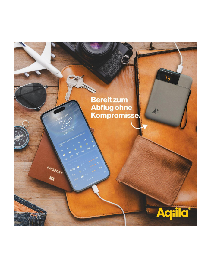 Aqiila Powerbird B5 Powerbank 12W zielony 5.000 mAh główny