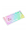 savio Klawiatura mechaniczna bezprzewodowa PHENIX WHITE Gateron Red Pro, Pudding - nr 13