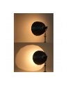 Nanlite SB-RP120 Parabol-Softbox Rapid 120 - nr 4