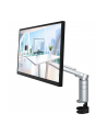 EIZO 24'' Flexscan (UMLEIEVFLTBK) - nr 31