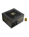 Enermax REVOLUTION III ATX3.1 PCI-e 5.1 750W 80Plus Gold (ERV750GAHGMAC) - nr 6